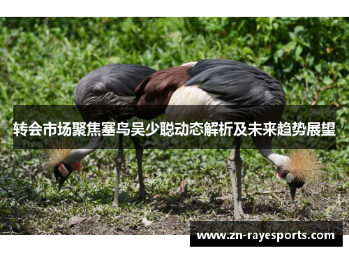 转会市场聚焦塞鸟吴少聪动态解析及未来趋势展望 转会市场聚焦塞鸟吴少聪动态解析及未来趋势展望