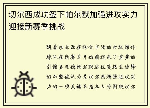切尔西成功签下帕尔默加强进攻实力迎接新赛季挑战 切尔西成功签下帕尔默加强进攻实力迎接新赛季挑战